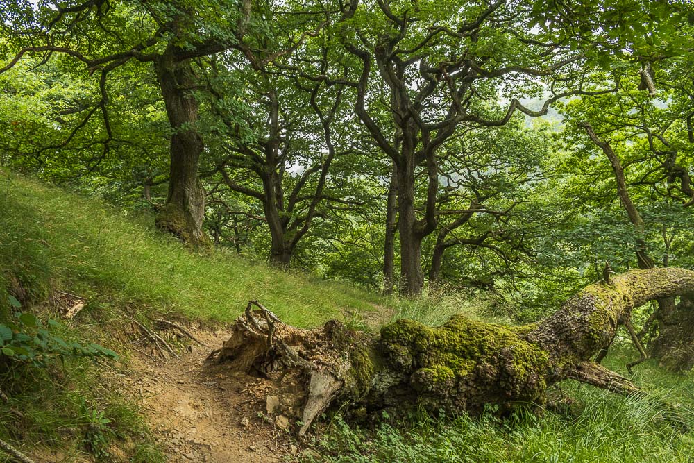 Bretton Clough Bretton Clough